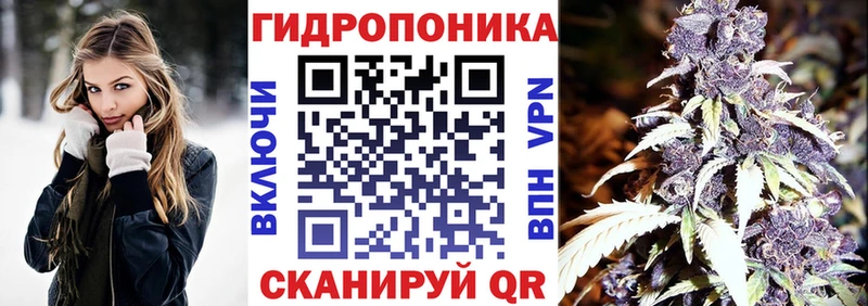Канабис семена  Хадыженск 